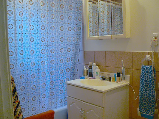 Rented by Limestone Realty Bklyn, LLC | media 8