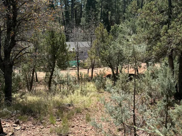 0 N Randall Drive #11, Pine, AZ 85544