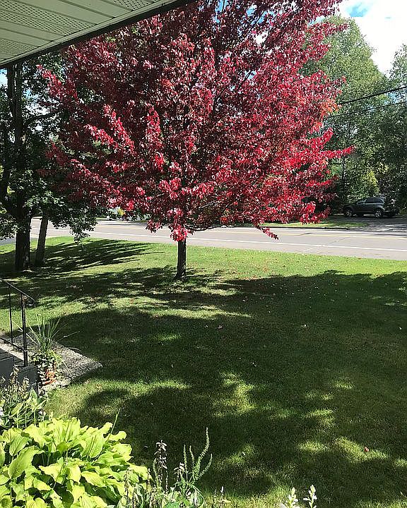 1st image of 4601 Woodland Ave
