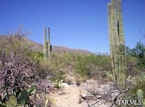 5th image of 9730 E Sabino Estates Dr