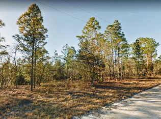 0 SE 141st Ct, Williston, FL 32696