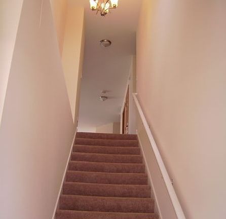 5th image of 1303 Waverly Dr