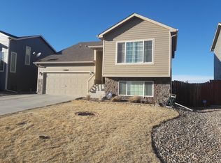 13002 Devils Thumb Pl, Peyton, CO 80831