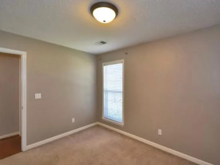 4001 Falliston Dr — Photo 36