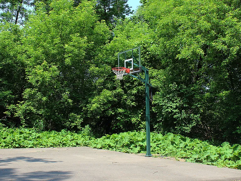Basketball free-throw court