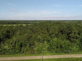 0 Old Sour Lake Rd, Sour Lake, TX 77659