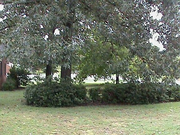 right side of front yard