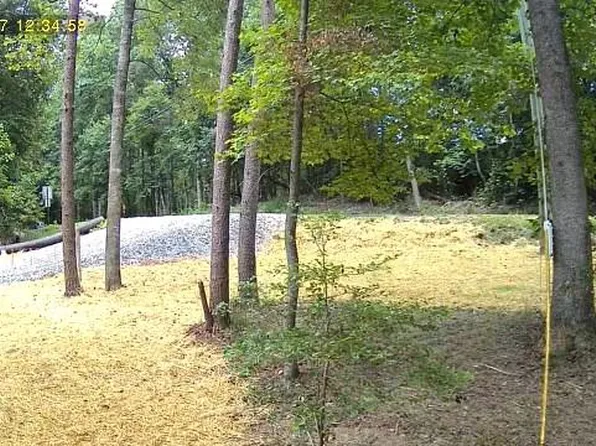 195 Shenendoa Dr, Ellijay, GA 30540