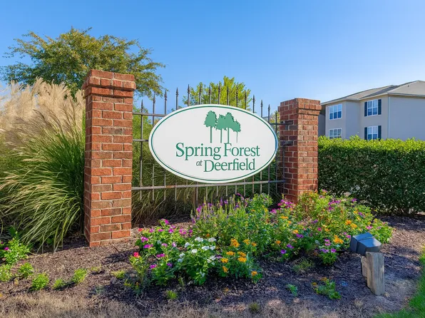 Spring Forest at Deerfield