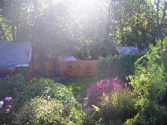 Backyard upper deck