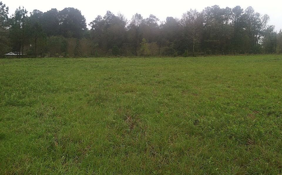 2nd image of 430 Mockingbird Ln