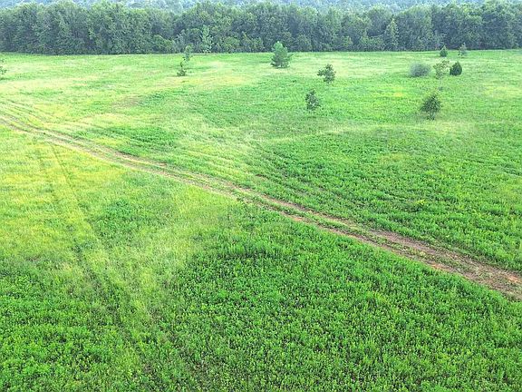 3rd image of LOT 3 Mineral Springs Rd