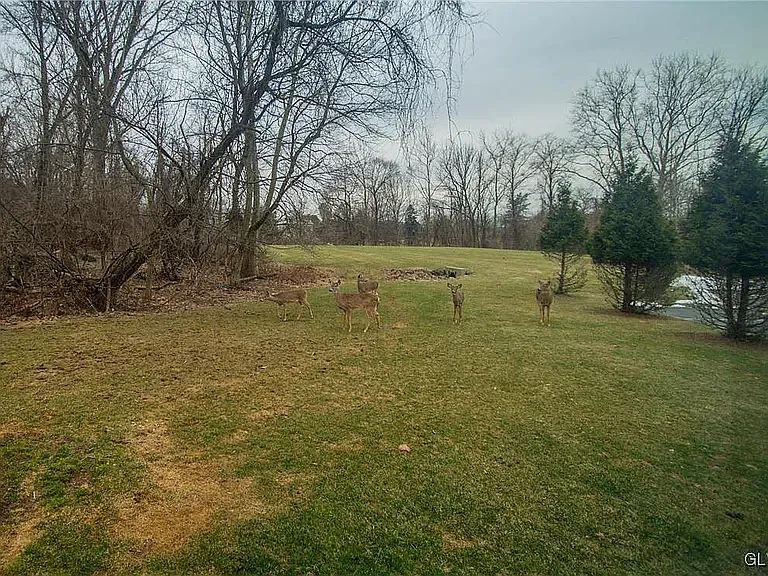 731 Trout Creek Ln — Photo 28