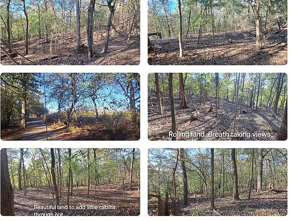 3rd image of 10774 County Road 494