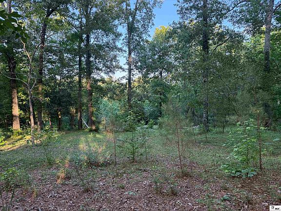 5th image of 138 Buck Dr
