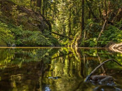 0 Highway 9, Boulder Creek, CA, 95006