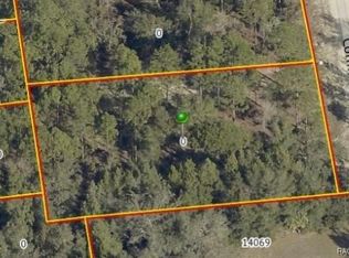 13409 Cormorant Rd, Brooksville, FL 34614