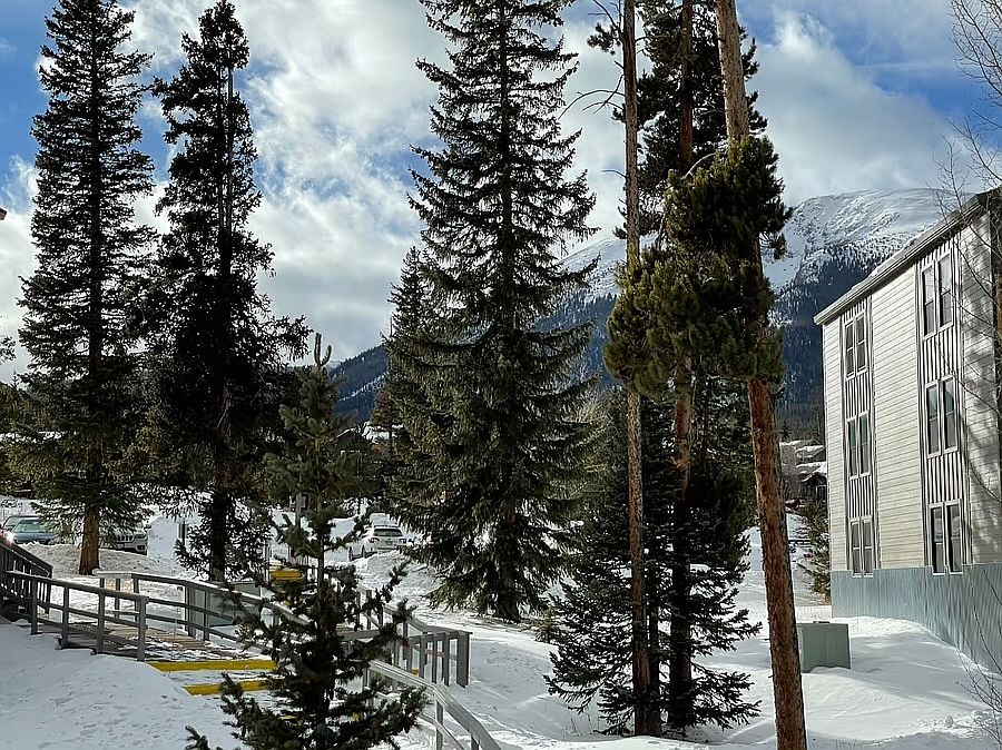1st image of 2400 Lodge Pole Cir