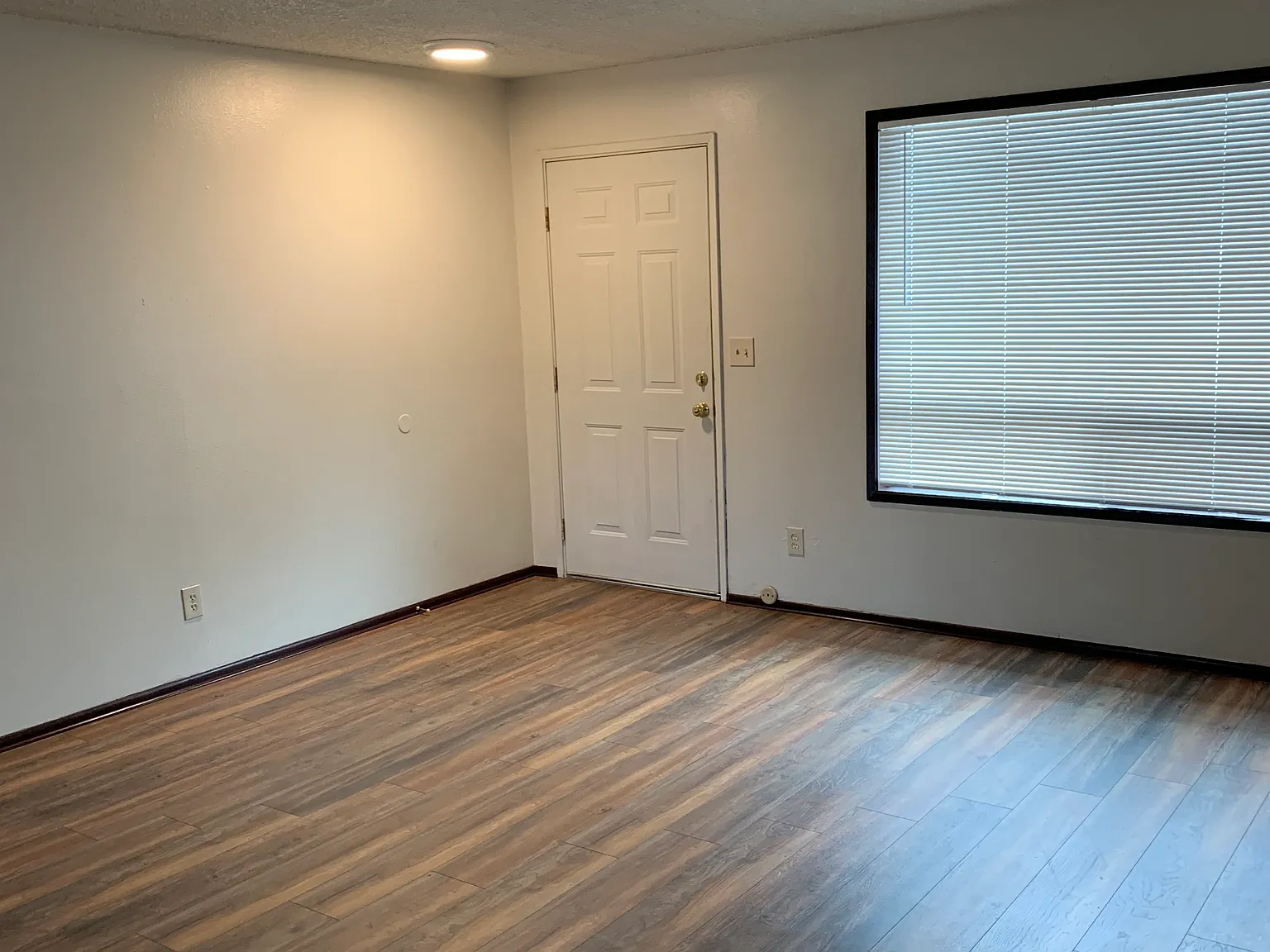 2 bed, $1,250 — Photo 2
