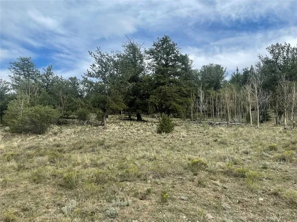 4193 Goldenburg Canyon Road, Hartsel, CO 80449