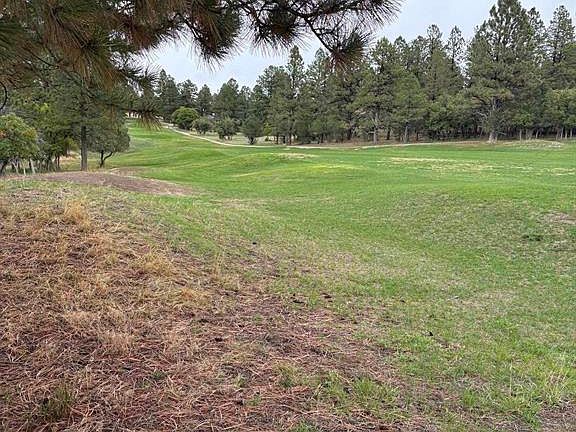 3rd image of TBD  Lot 439 S Badger Trail