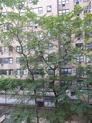 Rented by Immac Realty | media 25