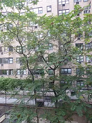 Rented by Immac Realty