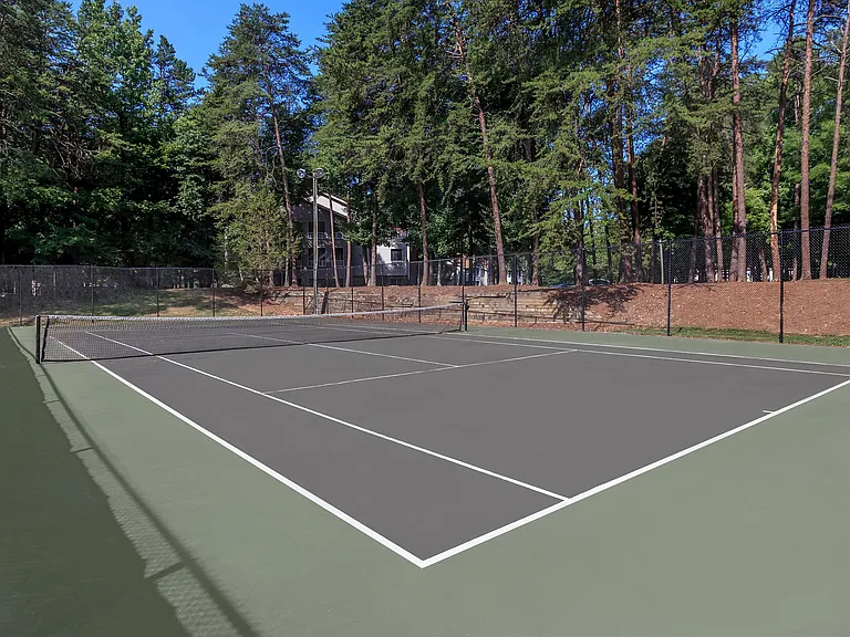 Fenced Tennis Court Surrounded by Lush Trees