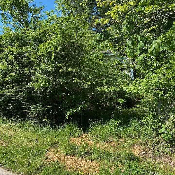 2nd image of 674 Monroe Ave