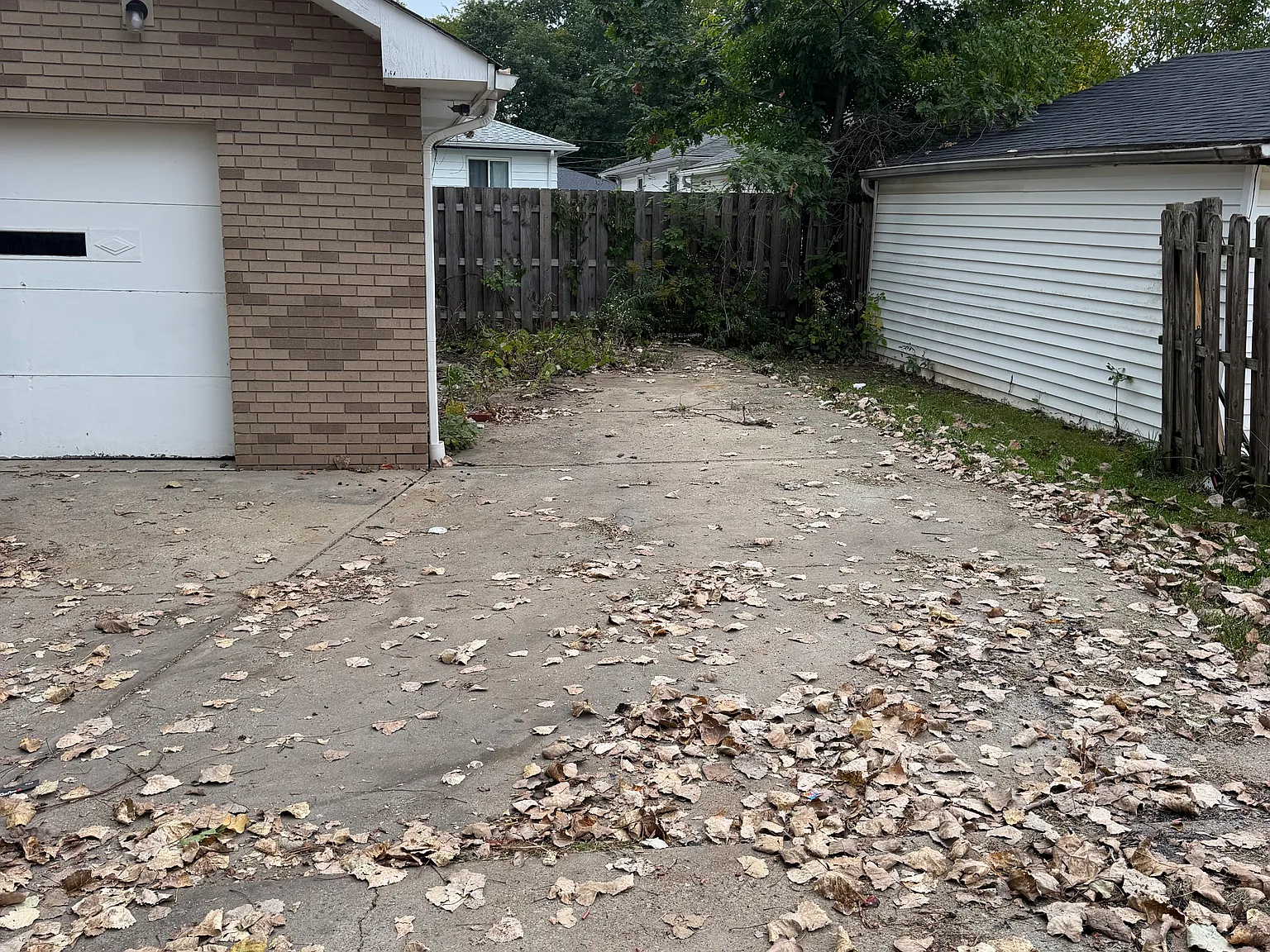3 bed, 1100 sqft, $1,550 — Photo 4