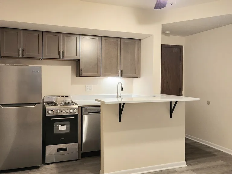 1504 N Dearborn Pkwy, Chicago, IL — Photo 38