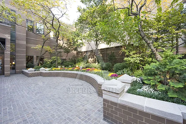 Rented by Peter Ashe | media 4