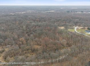 11315 Tamarack Trl, Bath, MI 48808