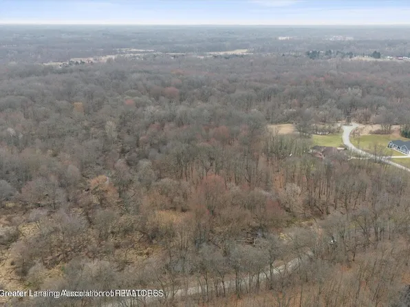 11315 Tamarack Trl, Bath, MI 48808