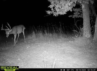 Gould Gray Rd, Brainerd, MN 56401