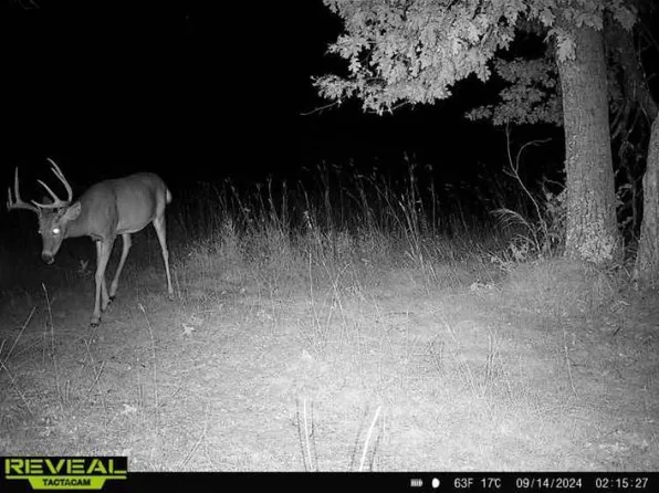 Gould Gray Rd, Brainerd, MN 56401