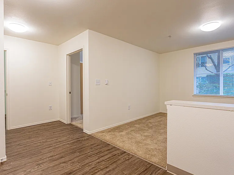 Living Room with Carpet