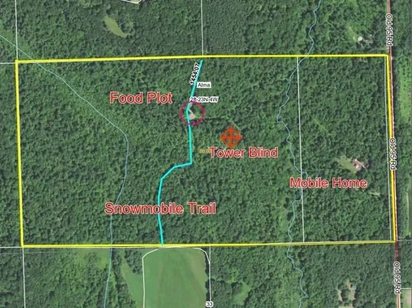 N10123 Old 95 Rd, Merrillan, WI 54754