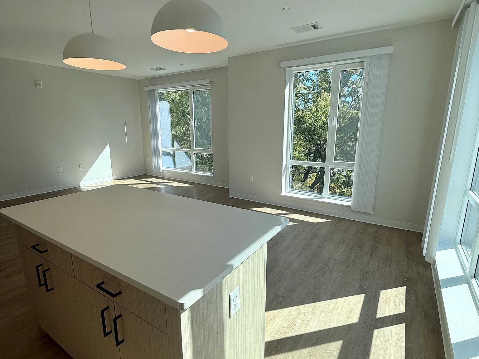 2 bed, 1225 sqft, $2,900 — Photo 3