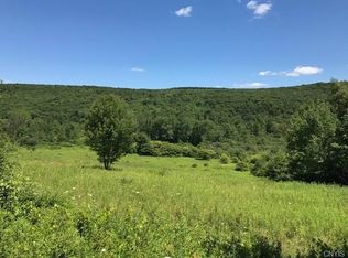 7482 Cold Brook Rd, Homer, NY 13077