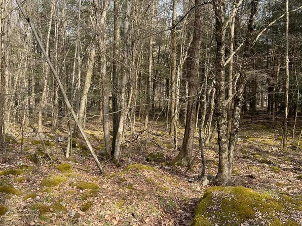 LOT 813 White Pine Dr, Pocono Lake, PA 18347