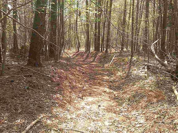 2nd image of 9 Tumbling Brook Ln #9