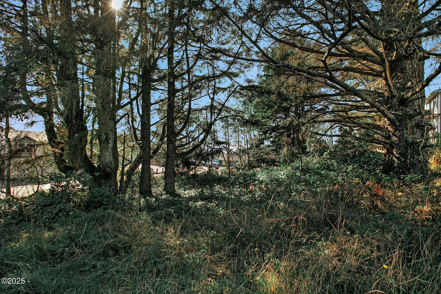 5300 NE 53rd Ct photo 1