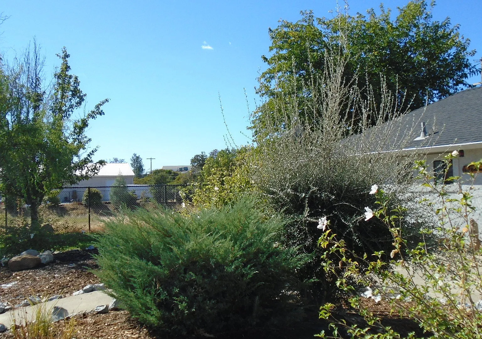 4 Bedroom in Ravenwood Subdivision — Photo 4