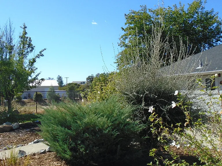 1984 Airstrip Rd — Photo 4