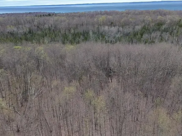 0 Kilkenny Ln, Ellsworth, MI 49729