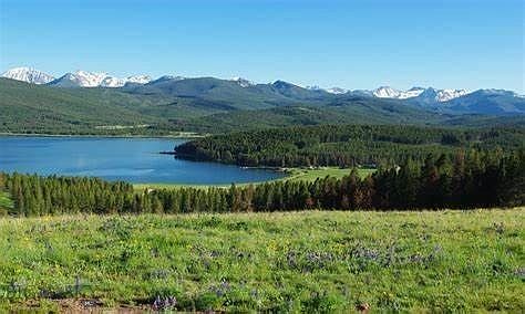 19 Badger Bay Trl, Anaconda, MT 59711 | Zillow