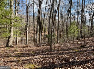 0 N Laceola Rd LOT 6I, Cleveland, GA 30528