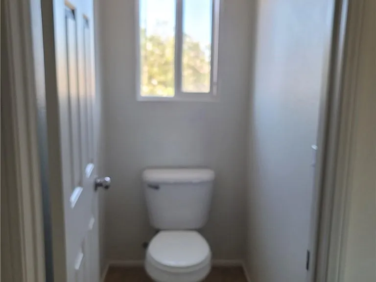 29153 Hydrangea St — Photo 16