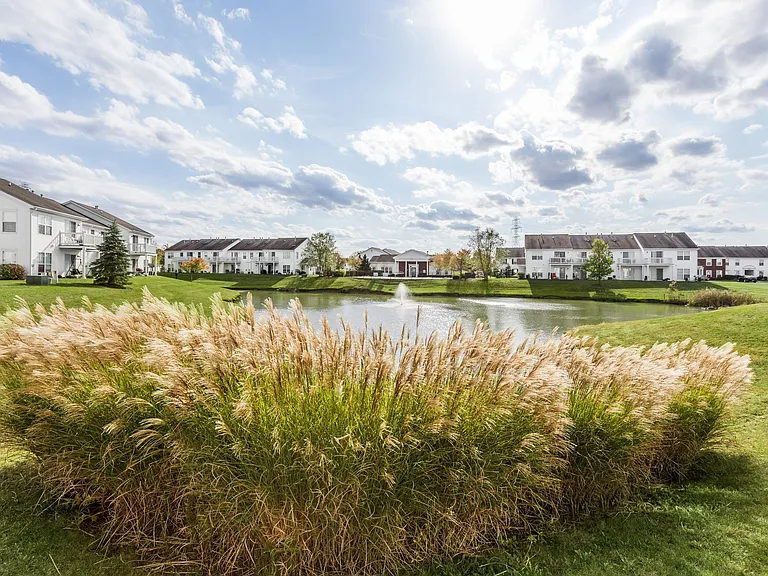 Beautiful Pond Views
